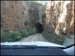 Glow Worms Tunnel