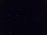 Glow Worms