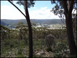 Lithgow
