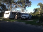 Lane Cove NP