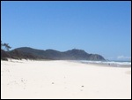 Macauley Headland