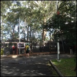 Koala Hospital Port Macquarie