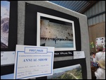 First Prize in the Travel section
