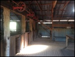Old Shearing Shed