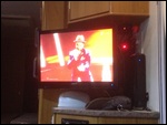 Watching Guy Sebastian coming 5th at Eurovision