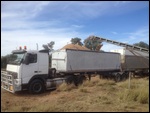 and are loaded onto 60 tonne trucks for market