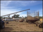 The whole processing line