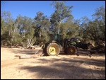 Collecting firewood