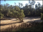 The program site on the river bank