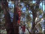 Flying Fox