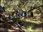Making shelters