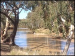 The Warrego River