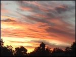 A Typical Sunset