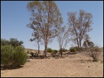 Birdsville Cemetery