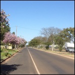 Spring time in St George