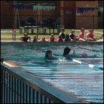 Swim Muster