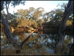 Murrumbidgee River, Seymour