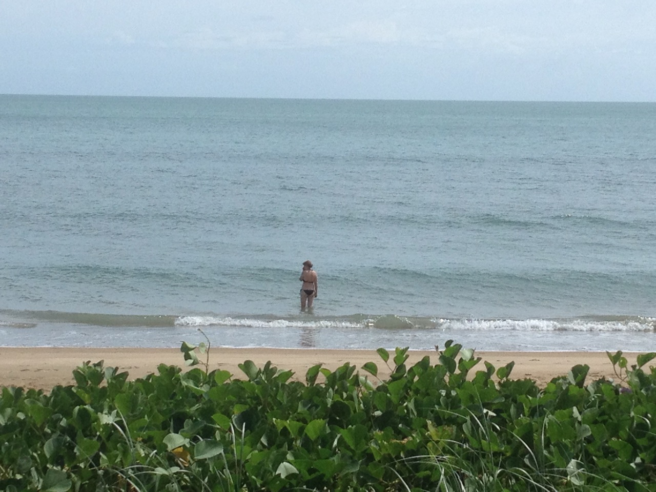 Morning Swim