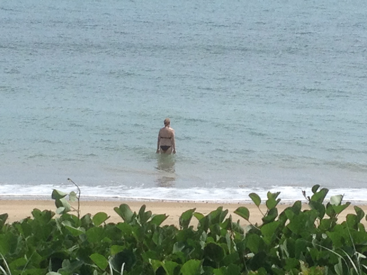Morning Swim