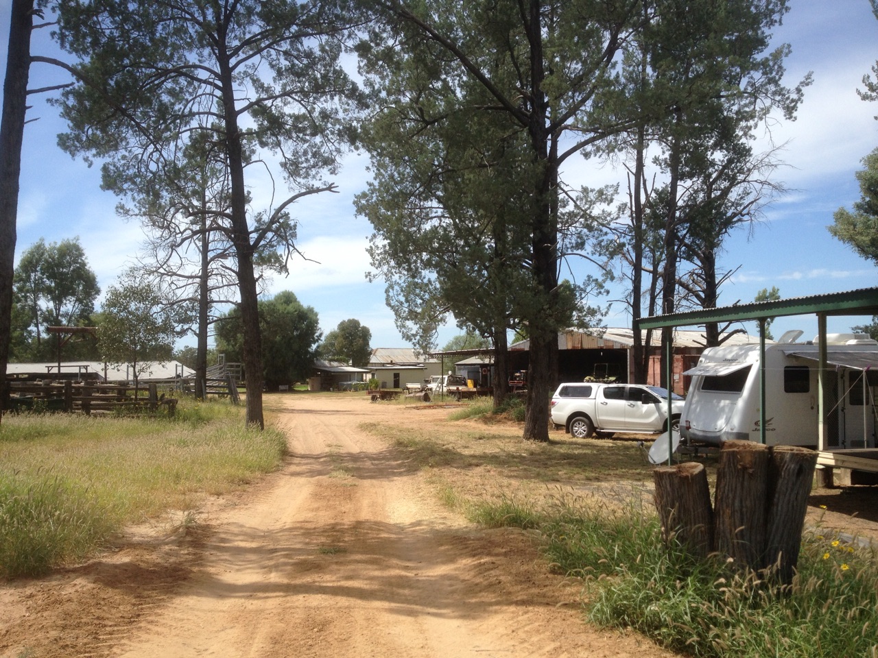 Currawarra