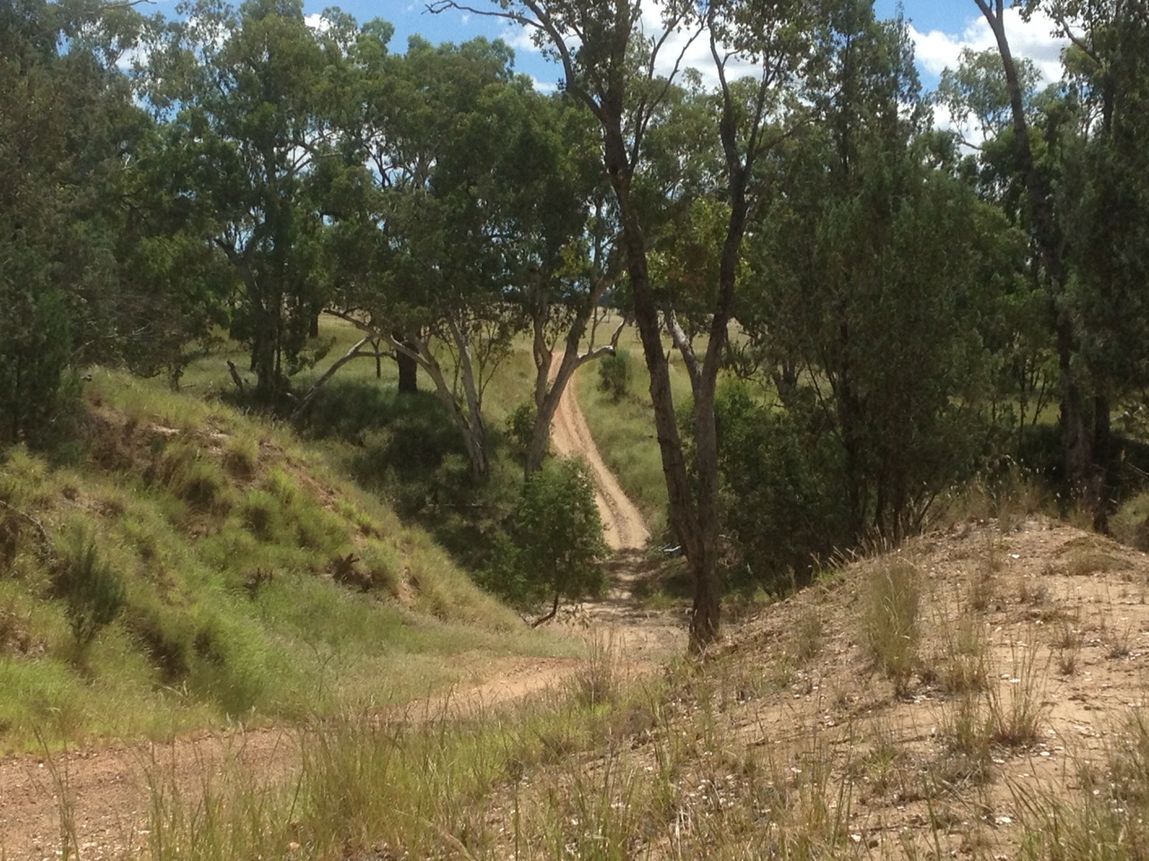 Crossing the Maranoa