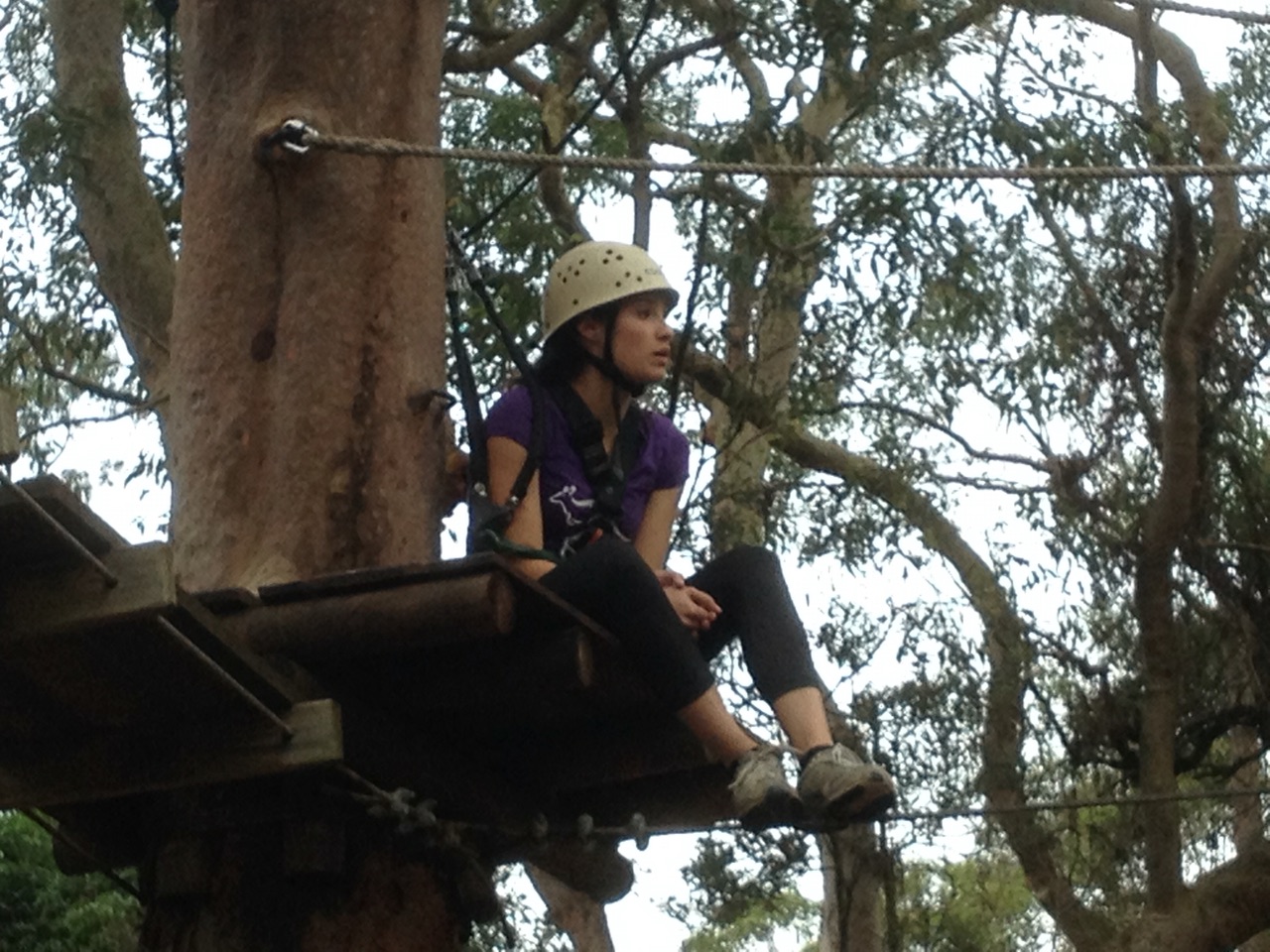 I'm not afraid of heights! Really, I'm not ...