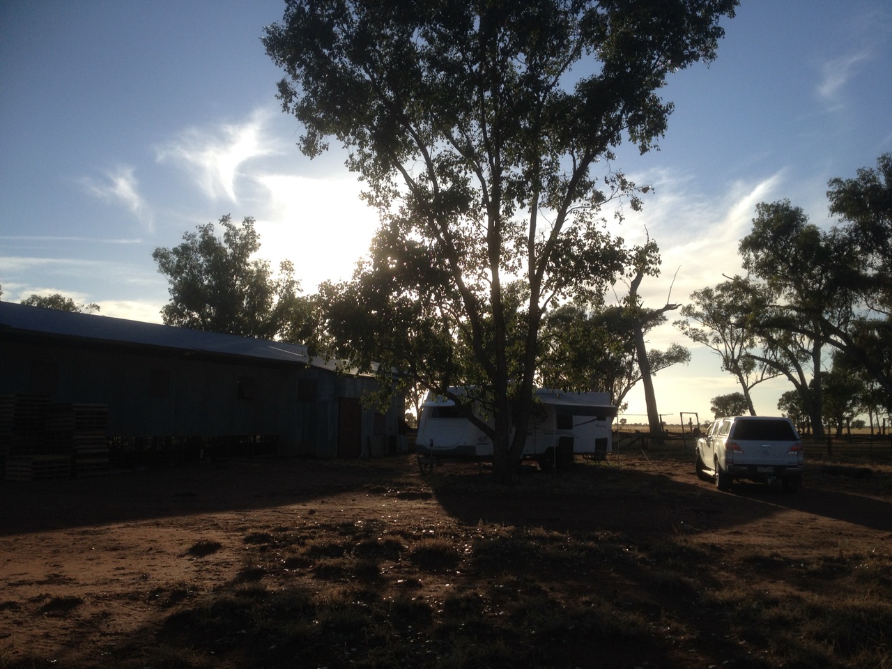 Back at the Woolshed
