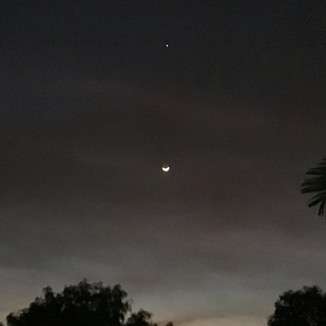 Venus, Moon And Mercury