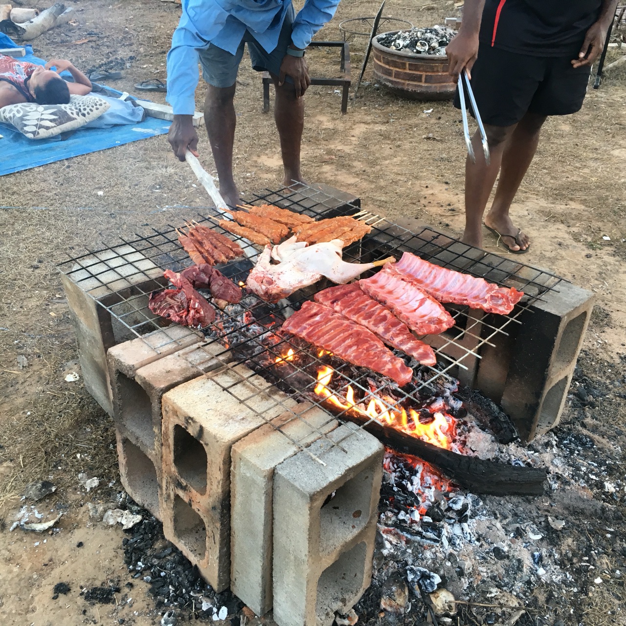 Goose, Ribs and Kebabs