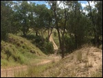 Crossing the Maranoa