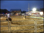Rodeo