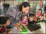 The Cake