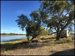 Camooweal