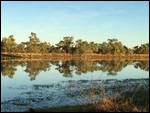 Billabong