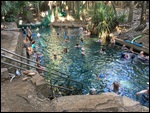 Mataranka Hot Springs