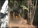 Stumps Are Ground