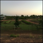 The Farm