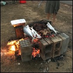 Fish and Ribs
