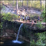 Swimming In The Waterhole