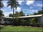 Grass and Palms