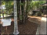 Paths and Mulch
