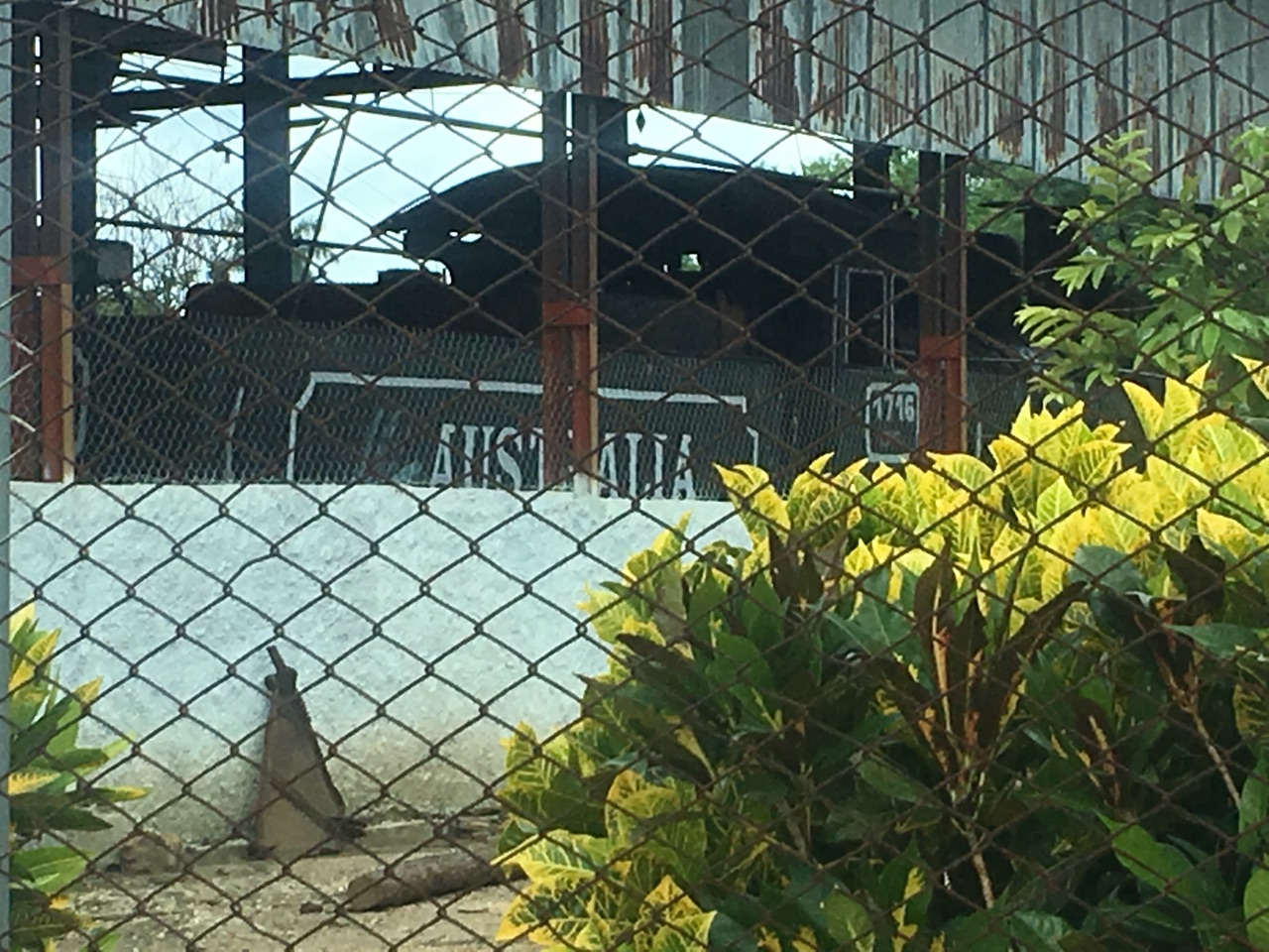 The Trains of Australia