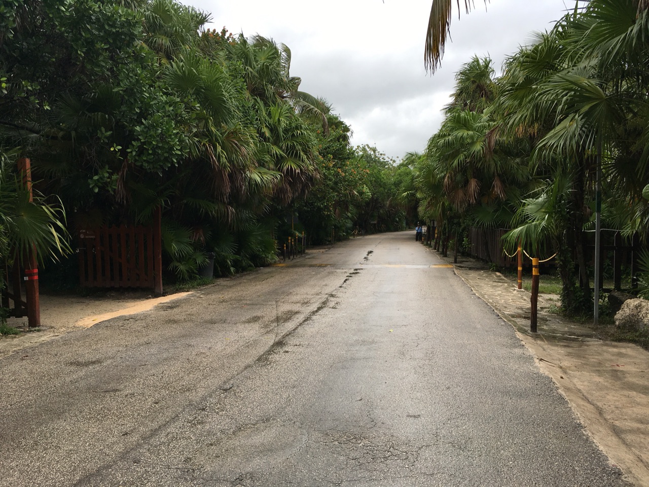 The Main Road
