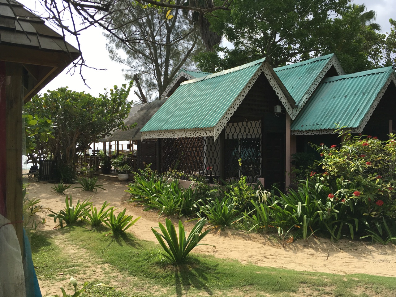 Our Room In Negril