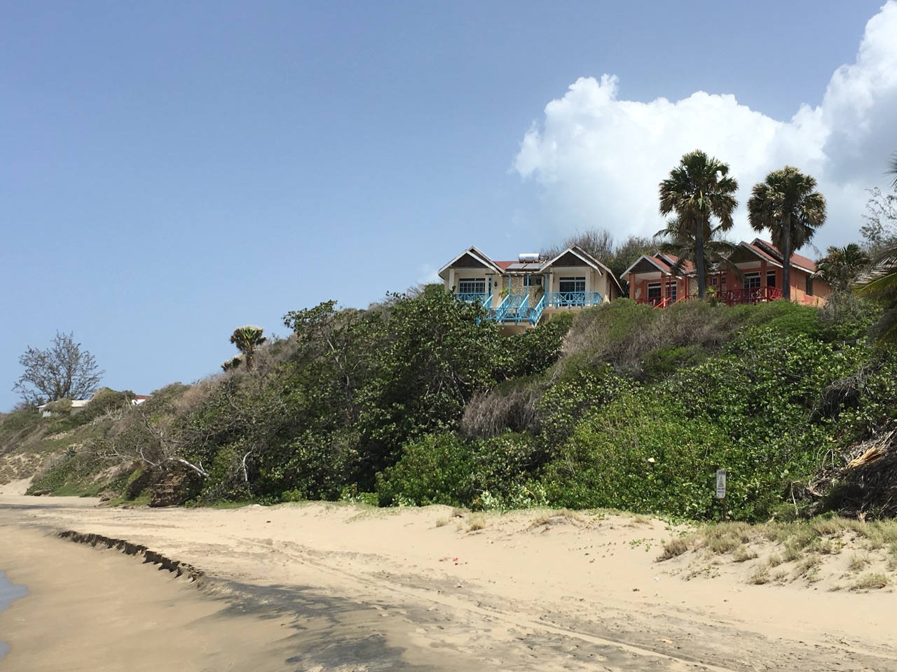 The Beach