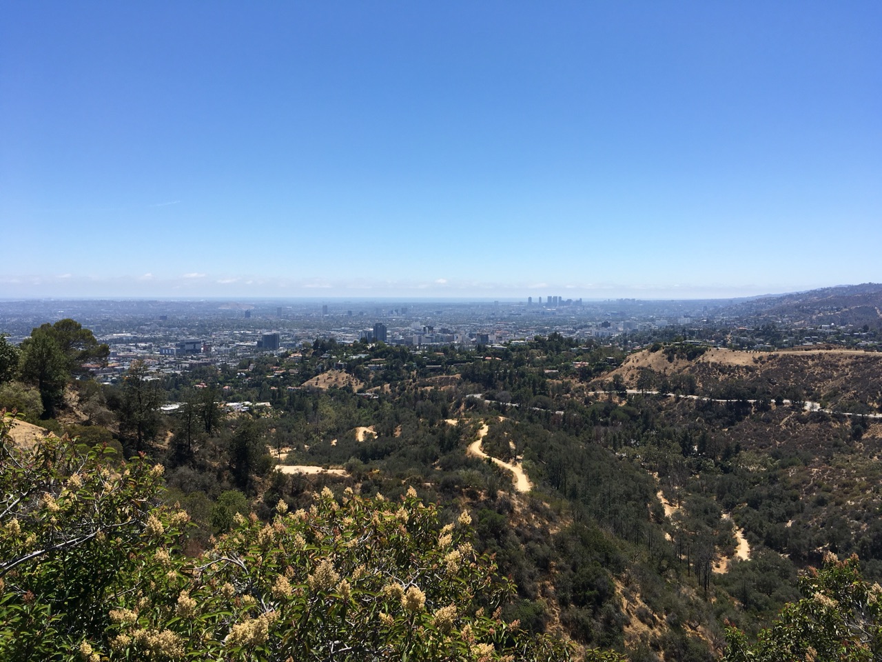 L.A. From The Hills