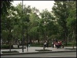 A Pretty Loved Up Park