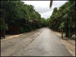The Main Road