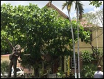Bob Marley's House