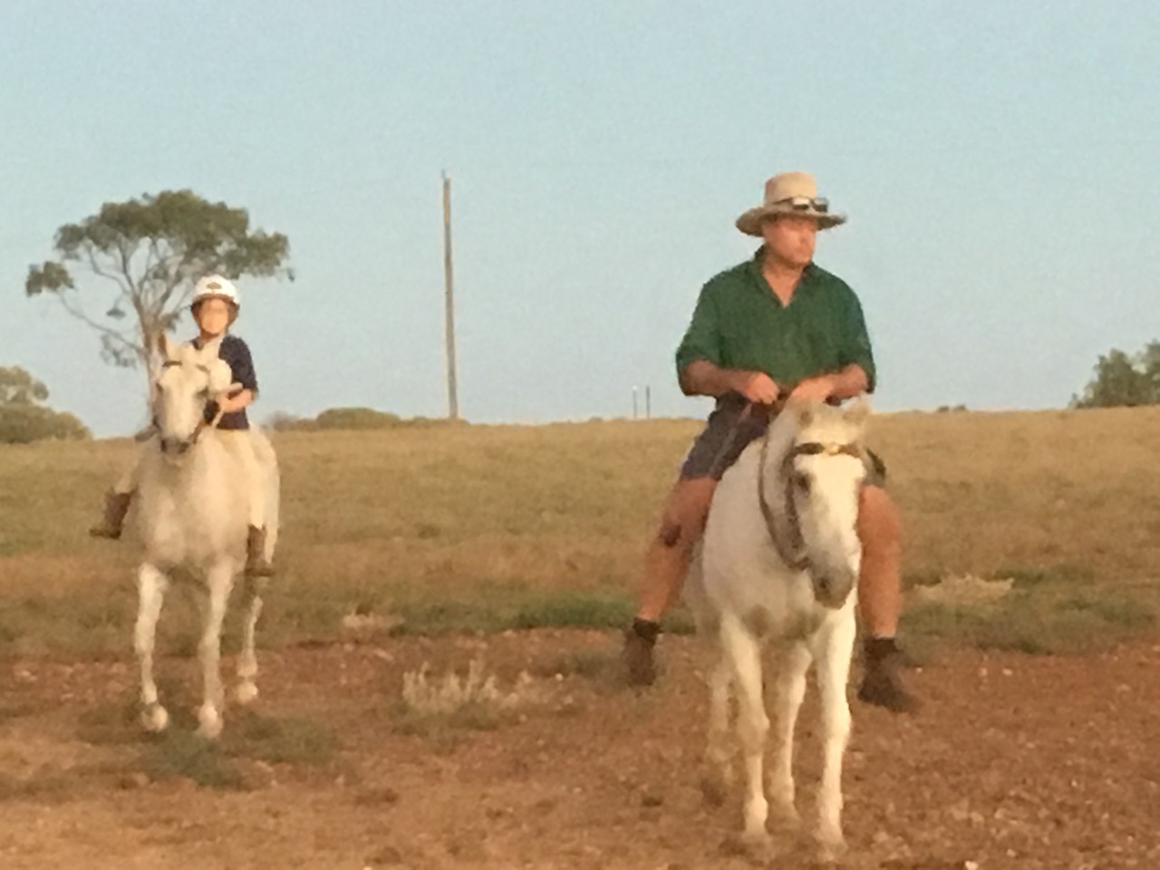 All bareback